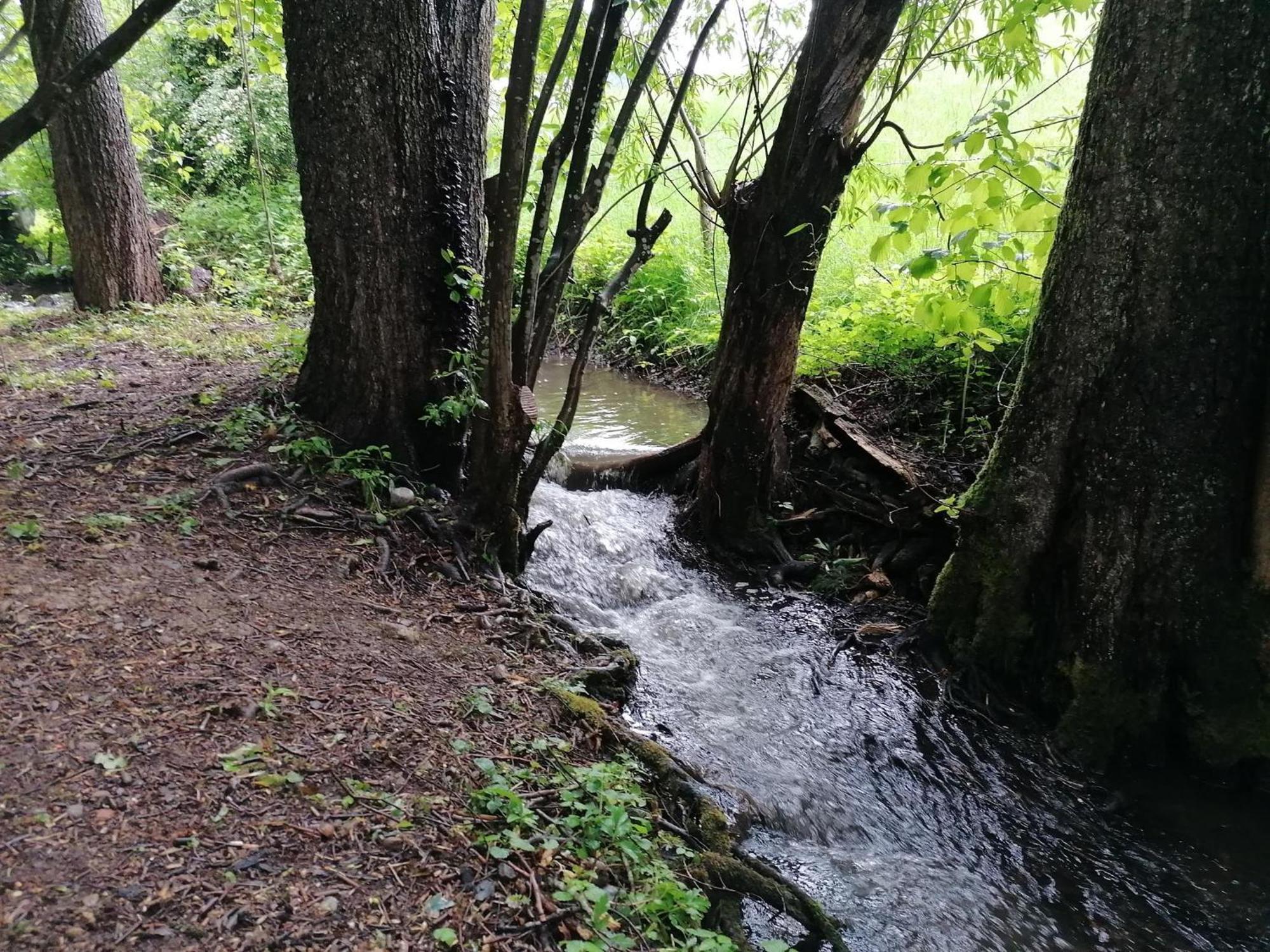 Ferienwohnung "Am Seebach" Wangen im Allgäu Dış mekan fotoğraf